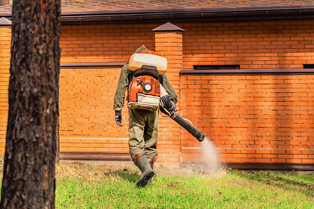 Trusted Rodent Control service in Silver Springs, NV - Nex Pest Control